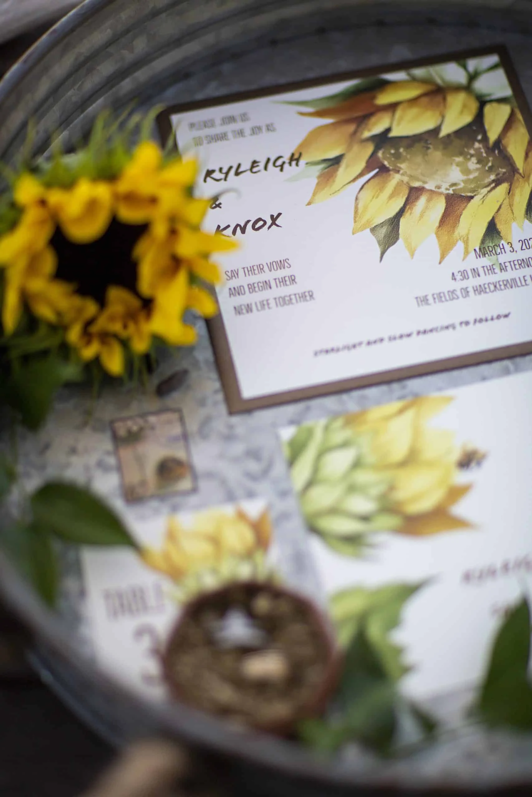 SunflowerSoiree140