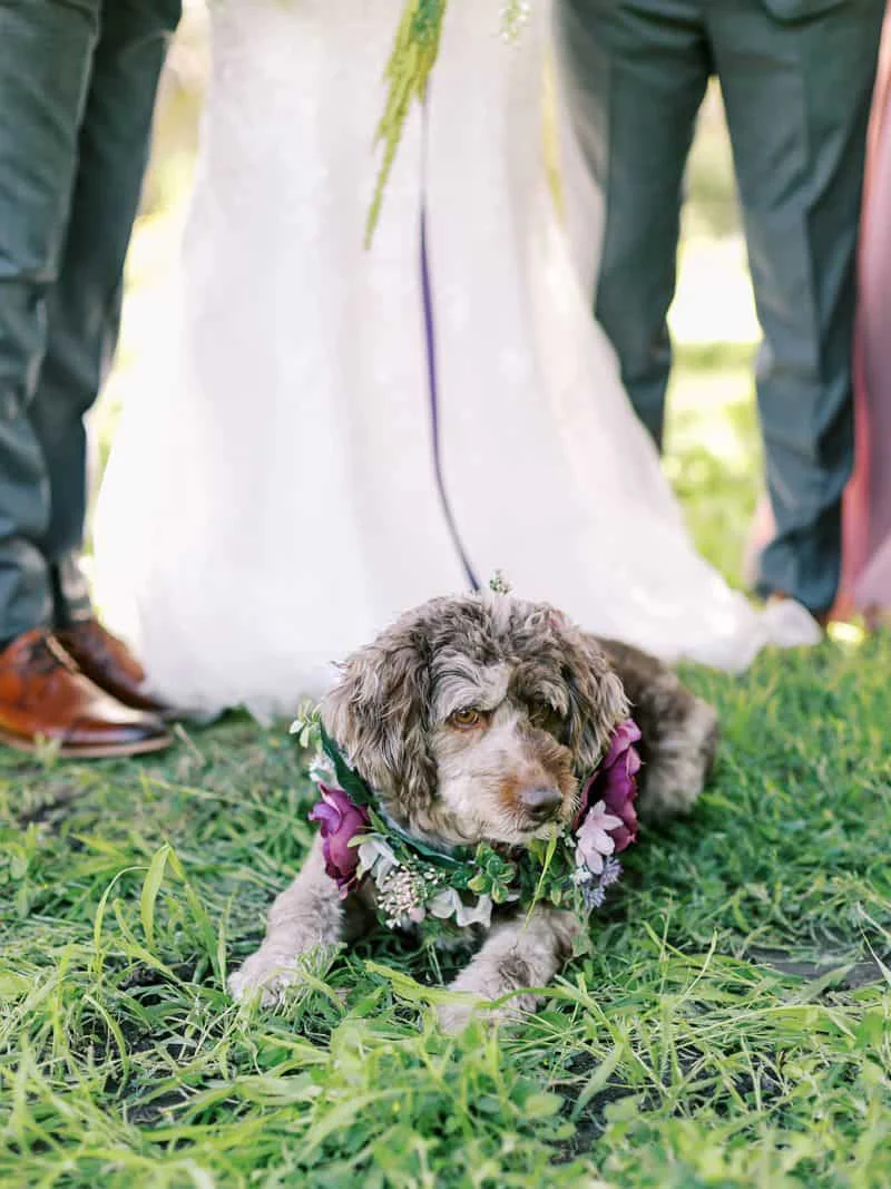 River lying at their feet in a collar made of flowers
